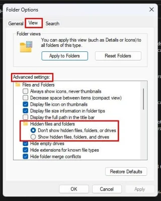 Cómo mostrar archivos ocultos en Windows 11