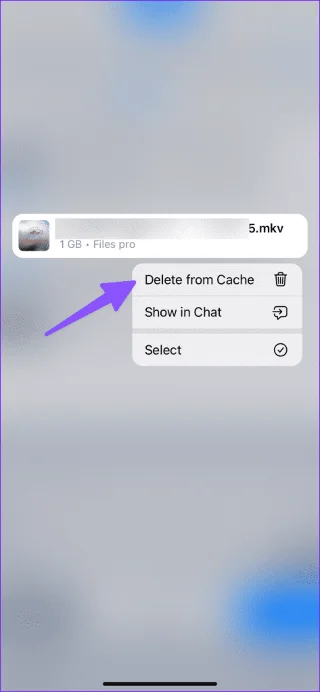 Les 4 meilleures façons de regarder des vidéos téléchargées depuis Telegram sur iPhone