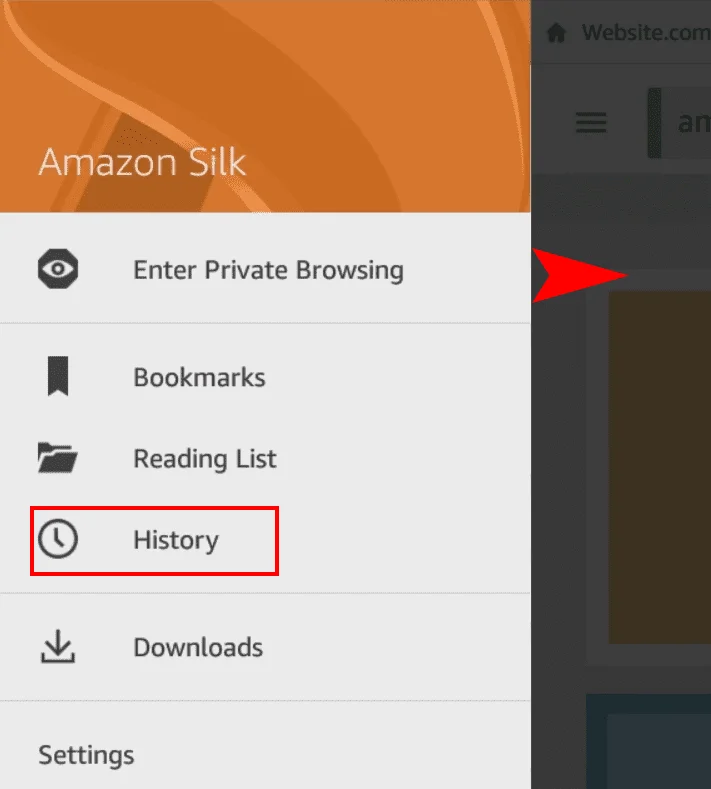 Amazon Fire: Browsercache, Geschiedenis of Cookies Wissen