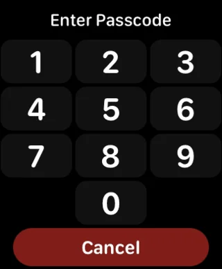 9 modi per risolvere il problema con l'altoparlante che non funziona su Apple Watch