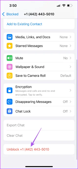Hoe u instant videoberichten kunt verzenden op WhatsApp op iPhone en Android