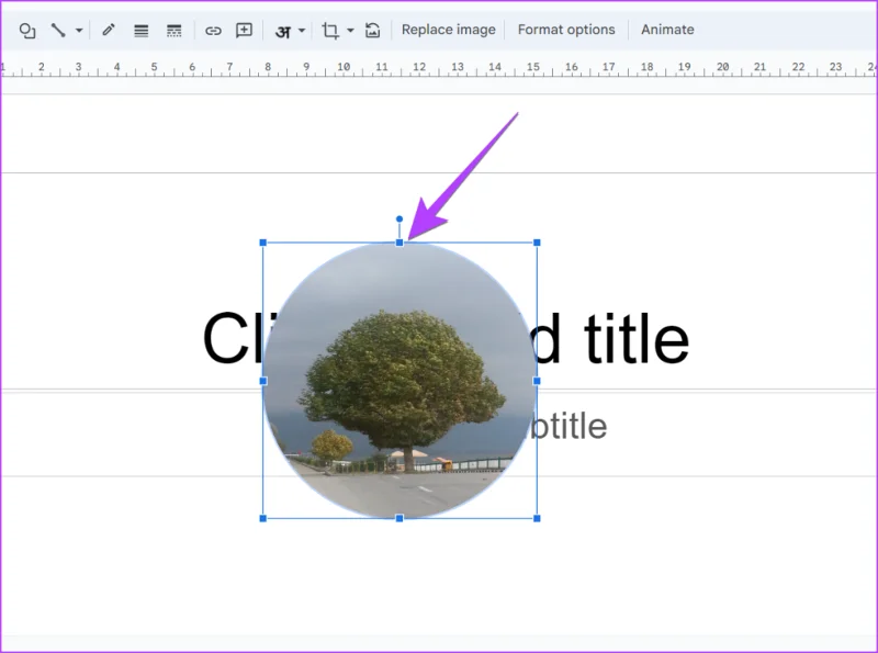 Come rendere circolari le immagini in Presentazioni Google