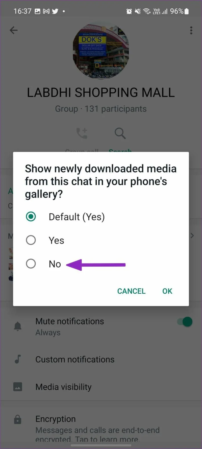 Hoe u kunt voorkomen dat foto's en video's automatisch worden gedownload op WhatsApp