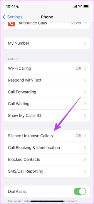 6 manieren om te voorkomen dat de iPhone niet overgaat bij inkomende oproepen