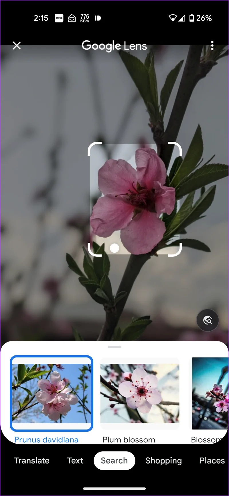 Google Drive versus Google Foto's: wat het beste is voor het opslaan van foto's