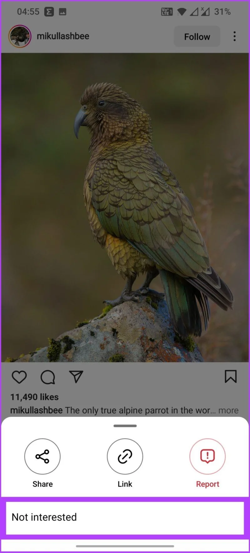 Hoe Instagram Explore-pagina op Android en iPhone te resetten