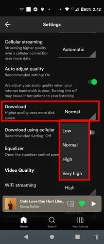 Verificați cât de mult spațiu ocupă melodiile Spotify