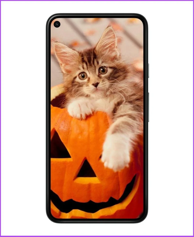 15 Enge Halloween-achtergronden (4K) voor iPhone en Android