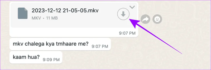 WhatsApp-foto's / video's opslaan in galerij op iPhone, Android en internet