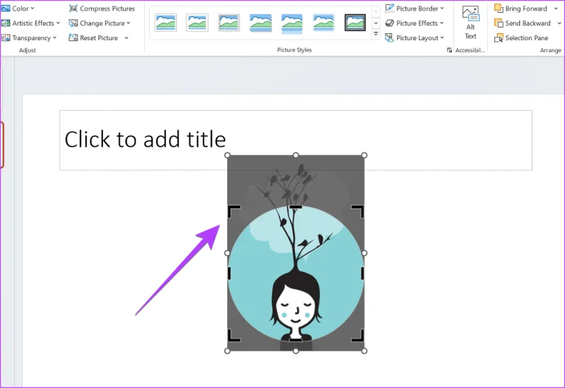4 maneiras de cortar uma imagem em um círculo no PowerPoint