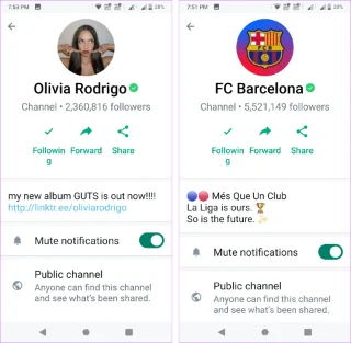 Cosa sono i canali WhatsApp e come accedervi e unirvi