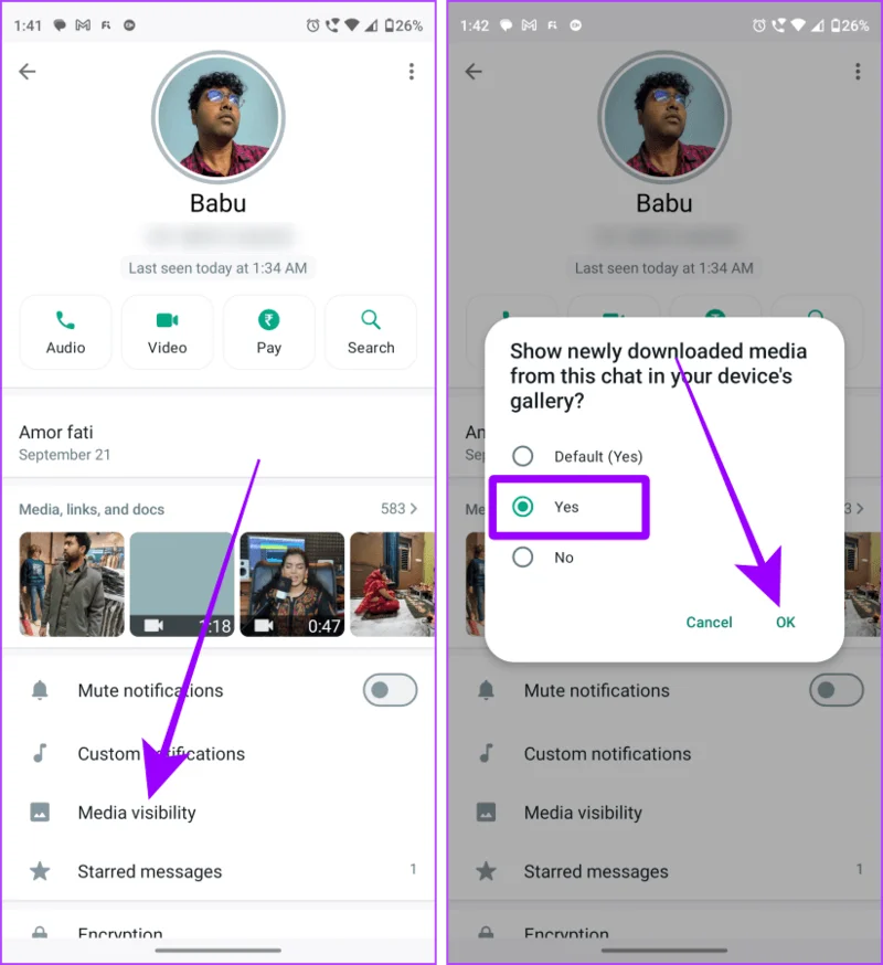 WhatsApp-foto's / video's opslaan in galerij op iPhone, Android en internet