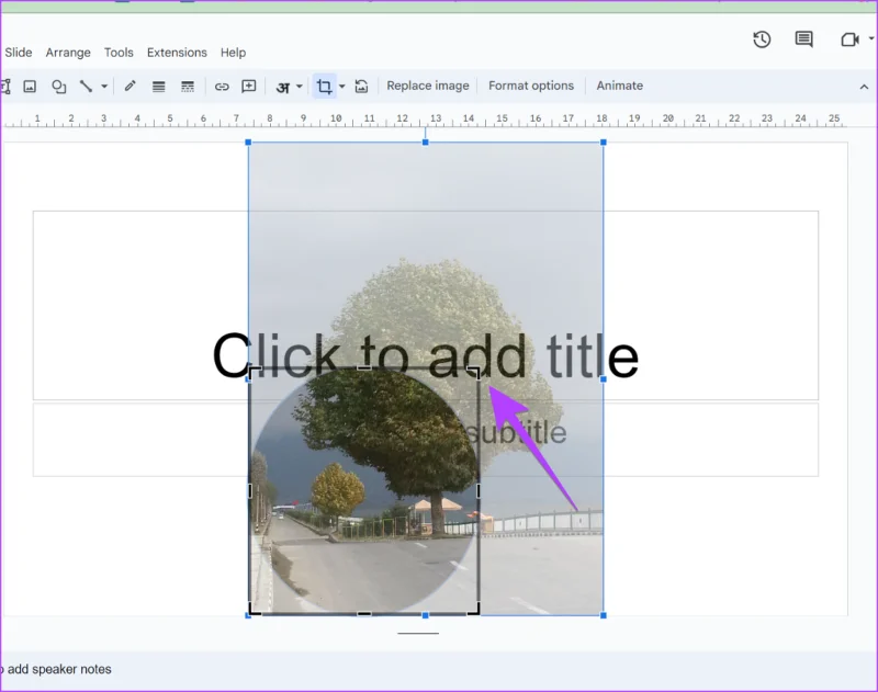 Come rendere circolari le immagini in Presentazioni Google