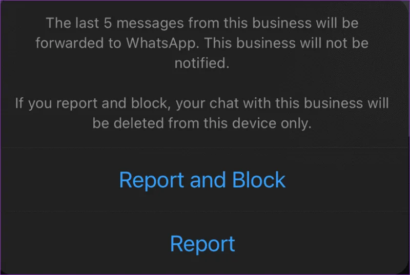 Wat er gebeurt als u iemand rapporteert op WhatsApp en hoe u dit kunt melden