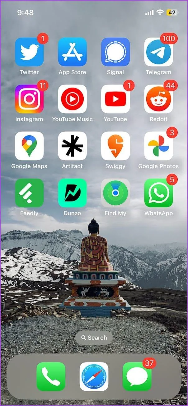 15 beste ideeën voor de lay-out van het startscherm op de iPhone