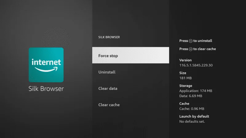 I 9 modi principali per risolvere il problema con il browser Amazon Silk che non funziona su Fire TV Stick