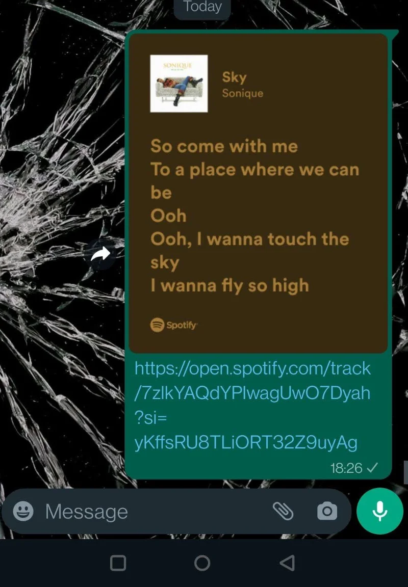 Come visualizzare i testi su Spotify Mobile, Desktop e TV