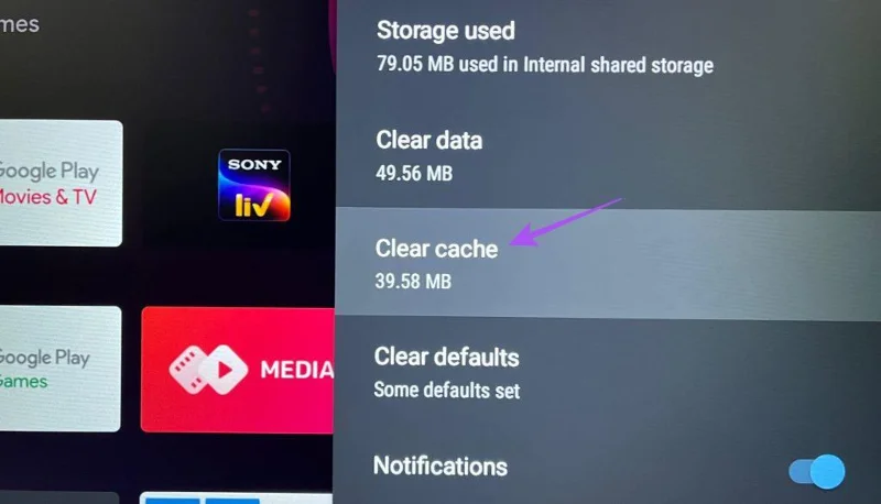 De 5 beste oplossingen voor het feit dat de Netflix-app niet wordt weergegeven in de Play Store op Android TV