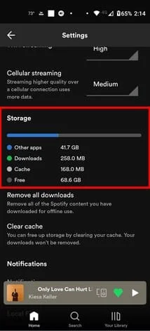 Verificați cât de mult spațiu ocupă melodiile Spotify