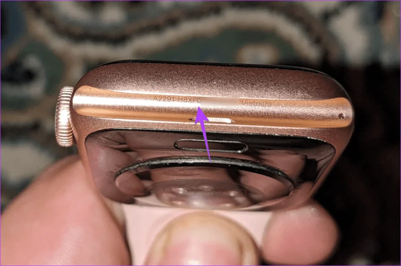 Quale serie o modello è il mio Apple Watch