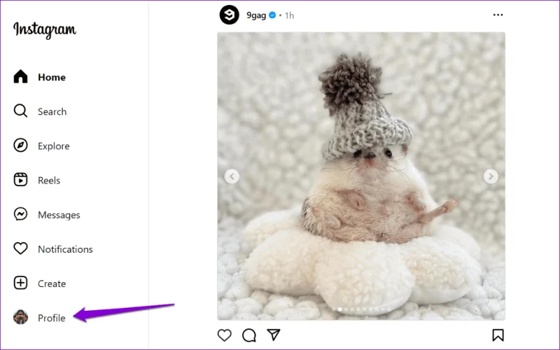 Come vedere i follower recenti su Instagram