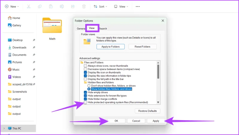 Cómo mostrar archivos y carpetas ocultos en Windows 11