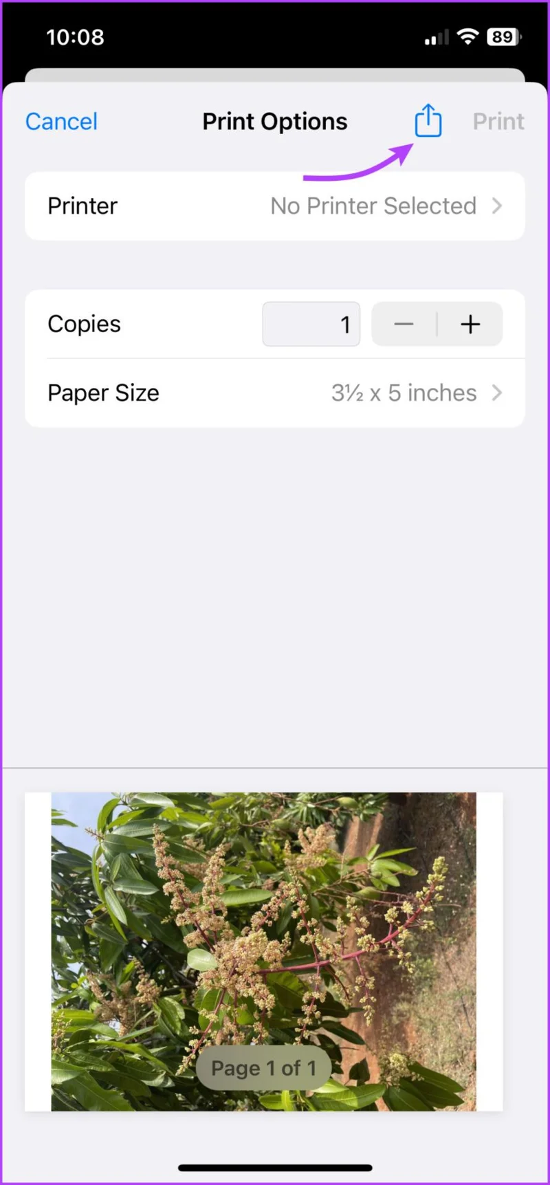 5 manieren om foto's naar PDF te converteren op iPhone of iPad (zonder apps van derden)