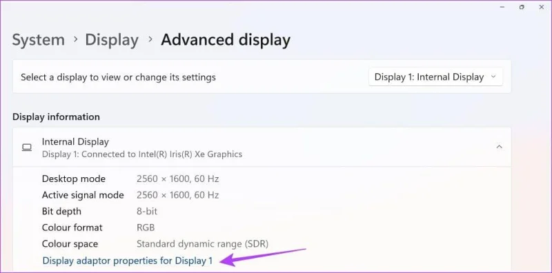 Propiedades del adaptador de pantalla