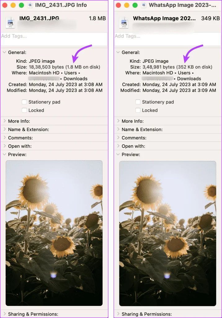 Hoe u afbeeldingen op origineel formaat op WhatsApp kunt verzenden vanaf iPhone en Android