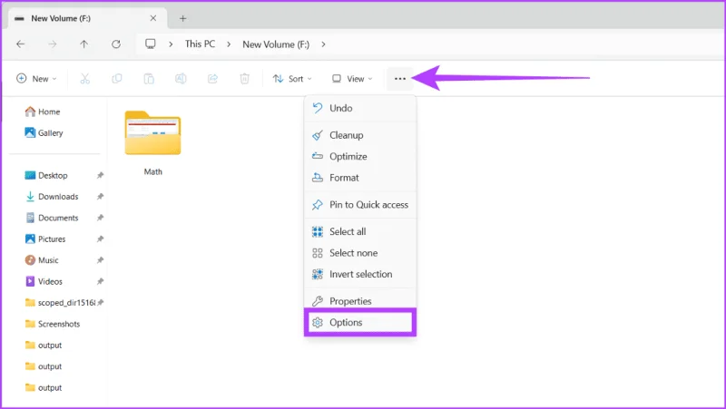 Cómo mostrar archivos y carpetas ocultos en Windows 11