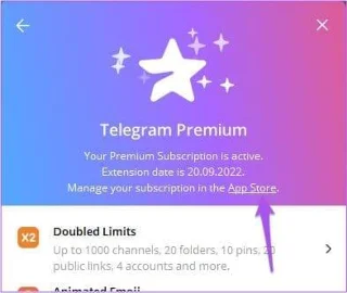 Come annullare l'abbonamento Telegram Premium su qualsiasi dispositivo