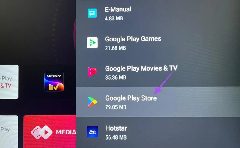 De 5 beste oplossingen voor het feit dat de Netflix-app niet wordt weergegeven in de Play Store op Android TV