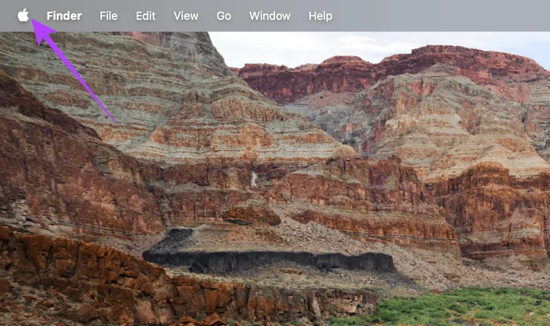 Come rimuovere carte, biglietti e altri elementi dal portafoglio Apple