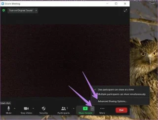 Come abilitare la condivisione dello schermo per i partecipanti su Zoom come host