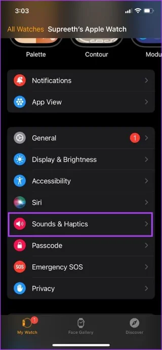 Come far vibrare il tuo Apple Watch per le notifiche