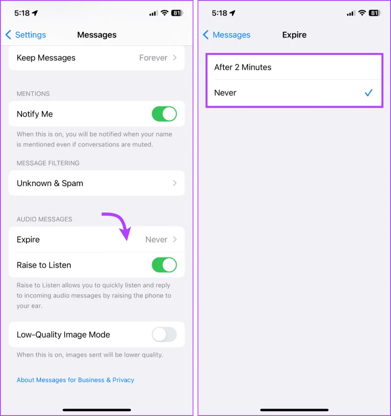 Een spraakbericht verzenden op de iPhone (iOS 17 bijgewerkt)