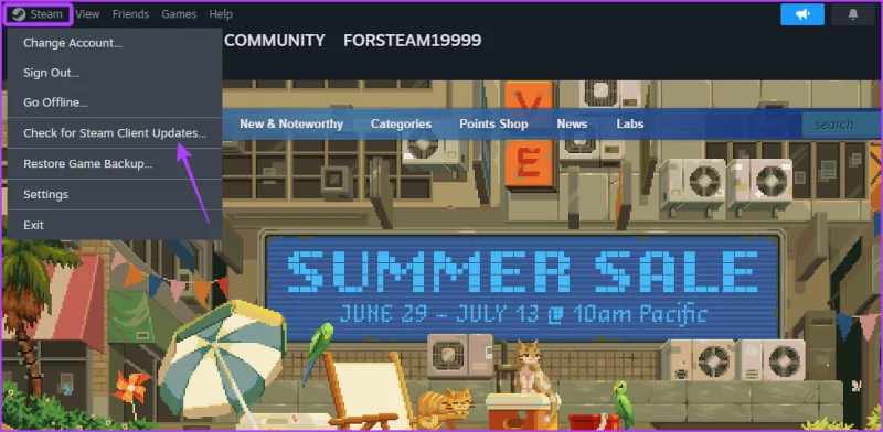 Les 7 meilleures façons de réparer Steam ne reconnaissant pas le contrôleur sous Windows 11