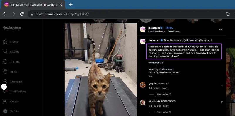 4 eenvoudige manieren om tekst uit een Instagram-bericht te kopiëren