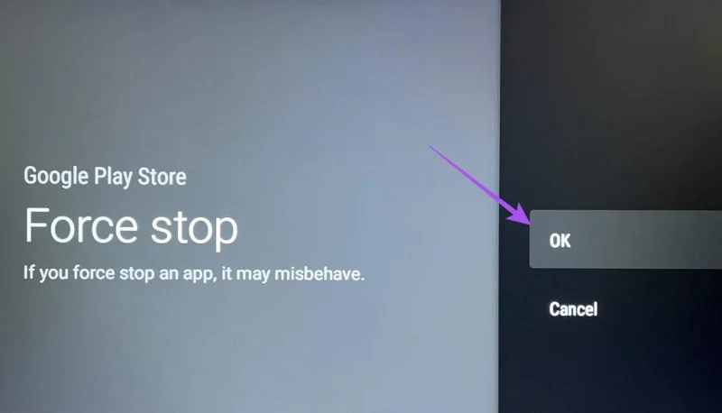 De 5 beste oplossingen voor het feit dat de Netflix-app niet wordt weergegeven in de Play Store op Android TV