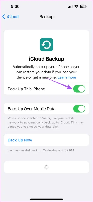 Hoe u automatische back-up naar iCloud op iPhone, iPad en Mac kunt stoppen