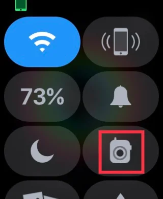 Cara Menggunakan Walkie-talkie Pada Apple Watch
