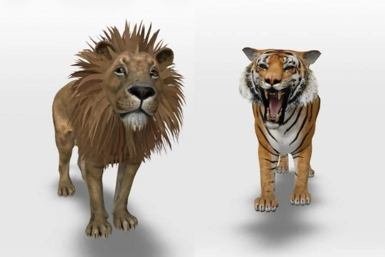 Rzeczywistość rozszerzona: jak korzystać z Google 3D Animals
