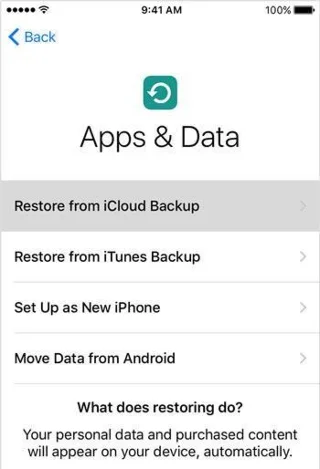 Cómo ver los mensajes eliminados de WhatsApp en iPhone