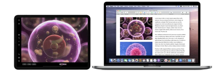 14 problemas comunes de macOS Catalina y sus soluciones rápidas