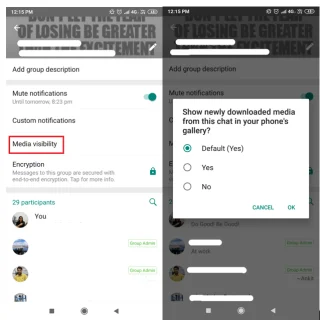 Hentikan Mode Simpan Otomatis di WhatsApp & Atur Galeri Anda Dengan Peretasan Ini!