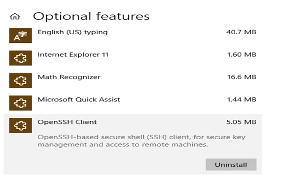 Как использовать безопасную оболочку SSH в Windows 10?