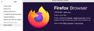 Windows 10da Firefox Yüksek Bellek Kullanımı Nasıl Azaltılır