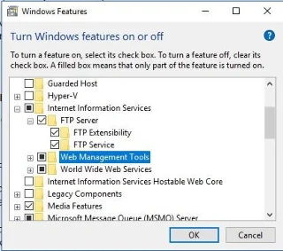 Cum se configurează și se administrează un server FTP pe Windows 10?