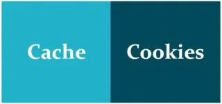 Langkah Cara Menghapus Cookie dan Cache Chrome Hanya Untuk Satu Situs