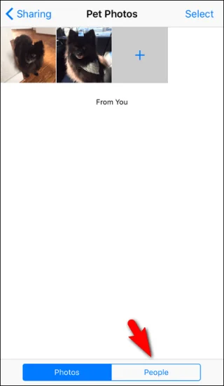 iCloudの写真をAndroidユーザーと共有しましょう！